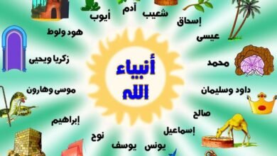 جوارح الإسلام: أنبياء ورسل الله جوارح الإسلام: أنبياء ورسل الله