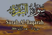 تأثير تلاوة سورة البقرة على الروح والجسد تأثير تلاوة سورة البقرة على الروح والجسد