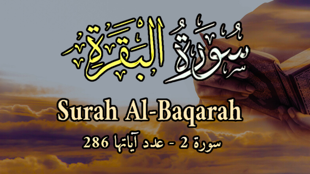 تأثير تلاوة سورة البقرة على الروح والجسد تأثير تلاوة سورة البقرة على الروح والجسد