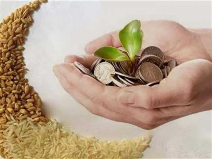 زكاة الإفطار حبوب أم مال؟ زكاة الإفطار حبوب أم مال؟