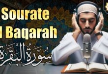 سورة البقرة كاملة للرقية وعلاج السحر سورة البقرة كاملة للرقية وعلاج السحر