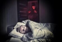 الاحلام التي لا يراها إلا المسحور الاحلام التي لا يراها إلا المسحور