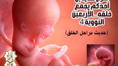 شرح حديث إن أحدكم يجمع خلقه…الأربعين النووية 4 شرح حديث إن أحدكم يجمع خلقه…الأربعين النووية 4