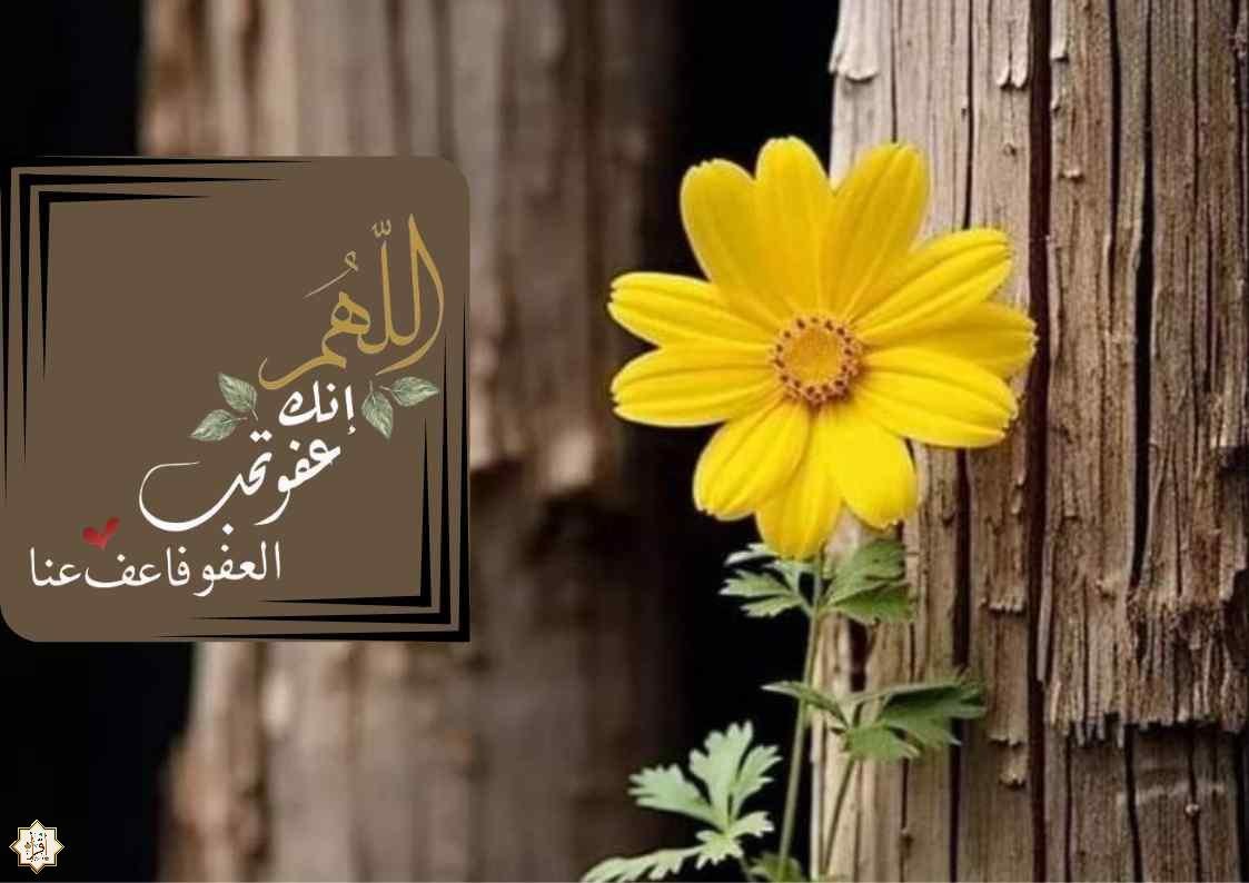 أروع صور اللهم انك عفو كريم تحب العفو فاعف عنا 2025 أروع صور اللهم انك عفو كريم تحب العفو فاعف عنا 2025