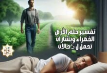 تفسير حلم الأرض الخضراء وبشارات تحمل ل 5 حالات