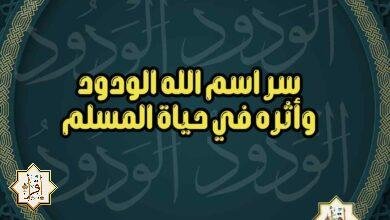 سر اسم الله الودود وأثره في حياة المسلم سر اسم الله الودود وأثره في حياة المسلم