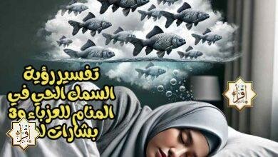 تفسير رؤية السمك الحي في المنام للعزباء و3 بشارات لها تفسير رؤية السمك الحي في المنام للعزباء و3 بشارات لها