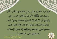 شرح مبسط لحديث أُمرت أن أقاتل الناس…الأربعين النووية 8 شرح مبسط لحديث أُمرت أن أقاتل الناس…الأربعين النووية 8