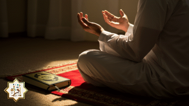 أهمية الاستغفار وأثره في حياة المسلم أهمية الاستغفار وأثره في حياة المسلم