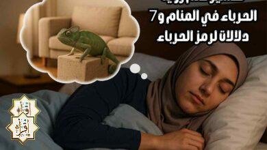 تفسير حلم رؤية الحرباء في المنام و7 دلالات لرمز الحرباء تفسير حلم رؤية الحرباء في المنام و7 دلالات لرمز الحرباء