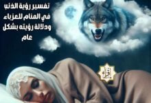 تفسير رؤية الذئب في المنام للعزباء ودلالة رؤيته بشكل عام تفسير رؤية الذئب في المنام للعزباء ودلالة رؤيته بشكل عام