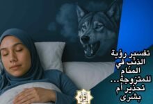 تفسير رؤية الذئب في المنام للمتزوجة… تحذير أم بشرى تفسير رؤية الذئب في المنام للمتزوجة… تحذير أم بشرى