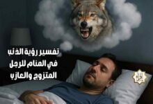 تفسير رؤية الذئب في المنام للرجل المتزوج والعازب تفسير رؤية الذئب في المنام للرجل المتزوج والعازب