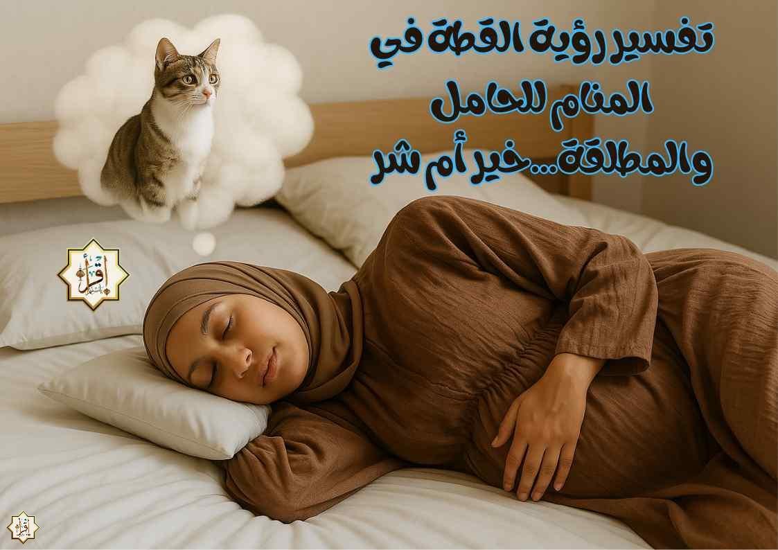 تفسير رؤية القطة في المنام للحامل والمطلقة…خير أم شر تفسير رؤية القطة في المنام للحامل والمطلقة…خير أم شر