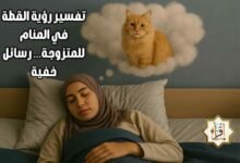 تفسير رؤية القطة في المنام للمتزوجة… رسائل خفية تفسير رؤية القطة في المنام للمتزوجة… رسائل خفية