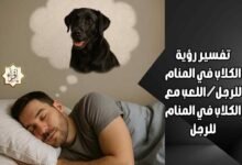 تفسير رؤية الكلاب في المنام للرجل/اللعب مع الكلاب في المنام للرجل