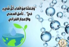 “وَجَعَلْنَا مِنَ الْمَاءِ كُلَّ شَيْءٍ حَيٍّ”…تأمل المعنى والإعجاز القرآني “وَجَعَلْنَا مِنَ الْمَاءِ كُلَّ شَيْءٍ حَيٍّ”…تأمل المعنى والإعجاز القرآني