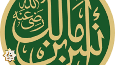 أنس بن مالك مؤسس أول مذاهب الفقه الإسلامي الأربعة 