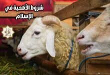 شروط الأضحية في الإسلام