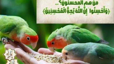 من هم المحسنون؟… ﴿وَأَحْسِنُوا ۛ إِنَّ اللَّهَ يُحِبُّ الْمُحْسِنِينَ﴾