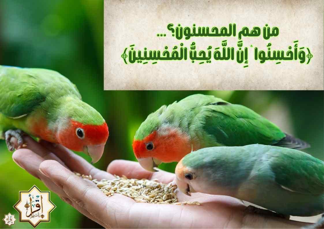 من هم المحسنون؟… ﴿وَأَحْسِنُوا ۛ إِنَّ اللَّهَ يُحِبُّ الْمُحْسِنِينَ﴾ من هم المحسنون؟… ﴿وَأَحْسِنُوا ۛ إِنَّ اللَّهَ يُحِبُّ الْمُحْسِنِينَ﴾