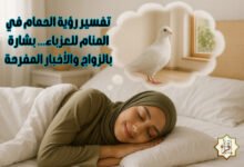 تفسير رؤية الحمام في المنام للعزباء… بشارة بالزواج والأخبار المفرحة تفسير رؤية الحمام في المنام للعزباء… بشارة بالزواج والأخبار المفرحة