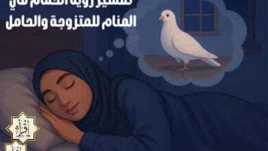 تفسير رؤية الحمام في المنام للمتزوجة والحامل تفسير رؤية الحمام في المنام للمتزوجة والحامل