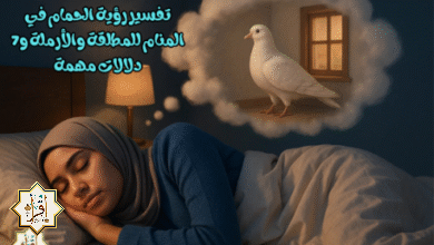 تفسير رؤية الحمام في المنام للمطلقة والأرملة و7 دلالات مهمة تفسير رؤية الحمام في المنام للمطلقة والأرملة و7 دلالات مهمة