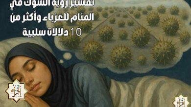 تفسير رؤية الشوك في المنام للعزباء وأكثر من 10 دلالات سلبية تفسير رؤية الشوك في المنام للعزباء وأكثر من 10 دلالات سلبية
