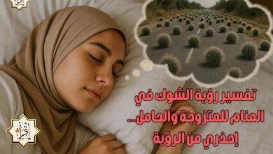تفسير رؤية الشوك في المنام للمتزوجة والحامل… إحذري من الرؤية