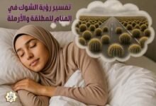 تفسير رؤية الشوك في المنام للمطلقة والأرملة