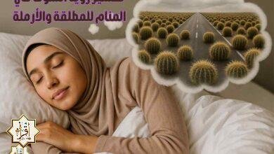 تفسير رؤية الشوك في المنام للمطلقة والأرملة تفسير رؤية الشوك في المنام للمطلقة والأرملة