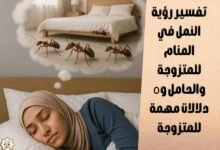 تفسير رؤية النمل في المنام للمتزوجة والحامل و٥ دلالات مهمة للمتزوجة