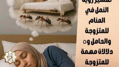تفسير رؤية النمل في المنام للمتزوجة والحامل و٥ دلالات مهمة للمتزوجة