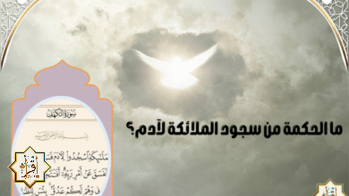 ما الحكمة من سجود الملائكة لآدم؟ ما الحكمة من سجود الملائكة لآدم؟