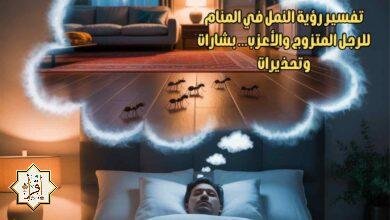 تفسير رؤية النمل في المنام للرجل المتزوج والأعزب… بشارات وتحذيرات