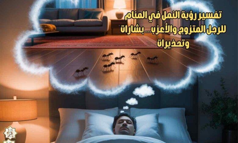 تفسير رؤية النمل في المنام للرجل المتزوج والأعزب… بشارات وتحذيرات تفسير رؤية النمل في المنام للرجل المتزوج والأعزب… بشارات وتحذيرات