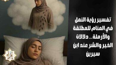 تفسير رؤية النمل في المنام للمطلقة والأرملة… دلالات الخير والشر عند ابن سيرين تفسير رؤية النمل في المنام للمطلقة والأرملة… دلالات الخير والشر عند ابن سيرين