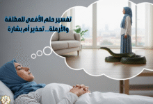 تفسير حلم الأفعى للمطلقة والأرملة… تحذير أم بشارة تفسير حلم الأفعى للمطلقة والأرملة… تحذير أم بشارة