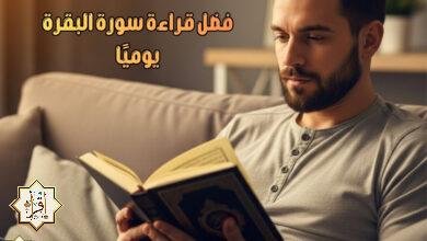 فضل قراءة سورة البقرة يوميًا فضل قراءة سورة البقرة يوميًا