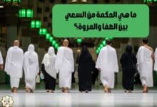 ما هي الحكمة من السعي بين الصفا والمروة؟ ما هي الحكمة من السعي بين الصفا والمروة؟