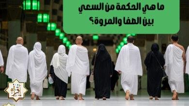 ما هي الحكمة من السعي بين الصفا والمروة؟