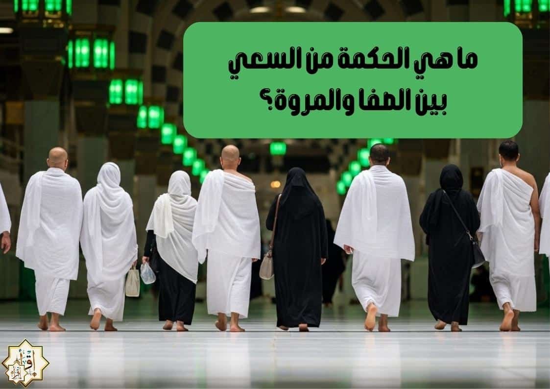 ما هي الحكمة من السعي بين الصفا والمروة؟ ما هي الحكمة من السعي بين الصفا والمروة؟