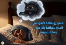 تفسير رؤية القط الأسود في المنام للمطلقة والأرملة… رسالة تحذيرية تفسير رؤية القط الأسود في المنام للمطلقة والأرملة… رسالة تحذيرية