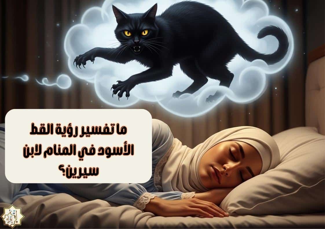 ما تفسير رؤية القط الأسود في المنام لابن سيرين؟ ما تفسير رؤية القط الأسود في المنام لابن سيرين؟