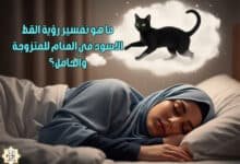 ما هو تفسير رؤية القط الاسود في المنام للمتزوجة والحامل؟ ما هو تفسير رؤية القط الاسود في المنام للمتزوجة والحامل؟