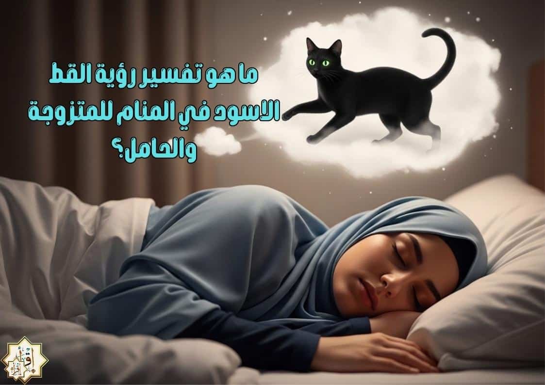 ما هو تفسير رؤية القط الاسود في المنام للمتزوجة والحامل؟