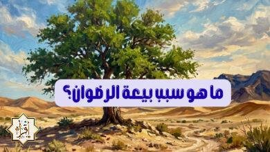 ما هو سبب بيعة الرضوان؟