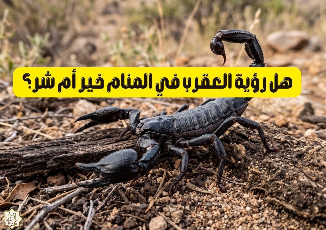 هل رؤية العقرب في المنام خير أم شر؟ هل رؤية العقرب في المنام خير أم شر؟
