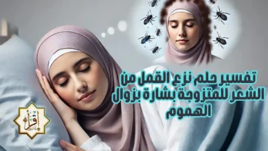 تفسير حلم نزع القمل من الشعر للمتزوجة بشارة بزوال الهموم تفسير حلم نزع القمل من الشعر للمتزوجة بشارة بزوال الهموم
